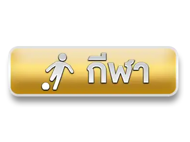 แบนเนอร์ 13
