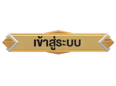 แบนเนอร์ 14