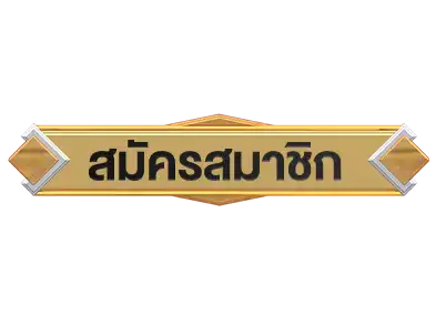 แบนเนอร์ 2