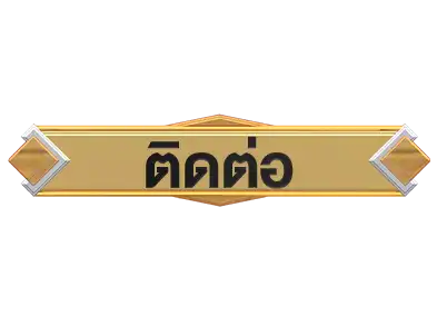 แบนเนอร์ 8